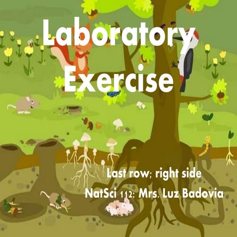 Laboratory exercise | PPT