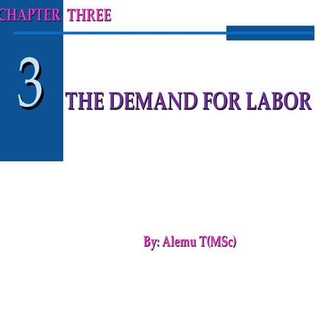 labor ch3.ppt for the different and others for