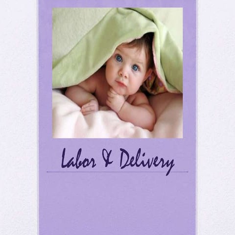 Labor & delivery pp