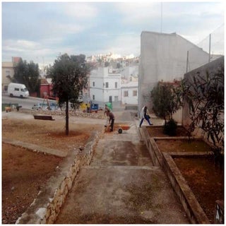 Trabajos iniciales de laboreo y lim...