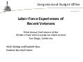 Labor Force Experiences of Recent Veterans