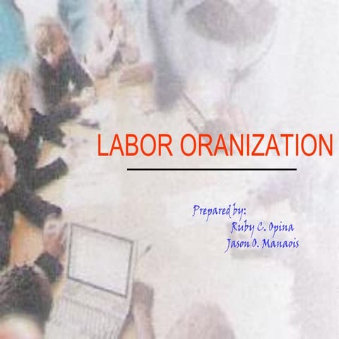 Labor organization