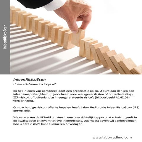 Labor redimo model- inleenvolwassenheidsmodel | PDF