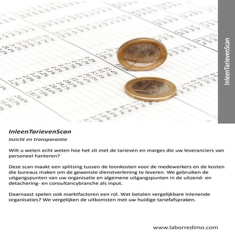 Labor redimo model- inleenvolwassenheidsmodel | PDF
