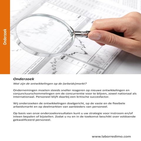 Labor redimo model- inleenvolwassenheidsmodel | PDF