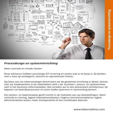 Labor redimo model- inleenvolwassenheidsmodel | PDF