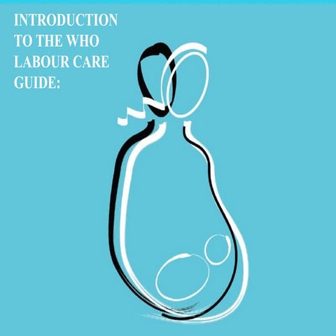 LABOUR CARE GUIDE.pptxxxxxxxxxxxxxxxxxxxxxxxx