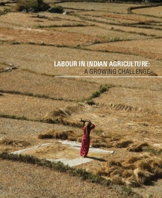 Labour in Indian Agriculture: A Growing Challenge