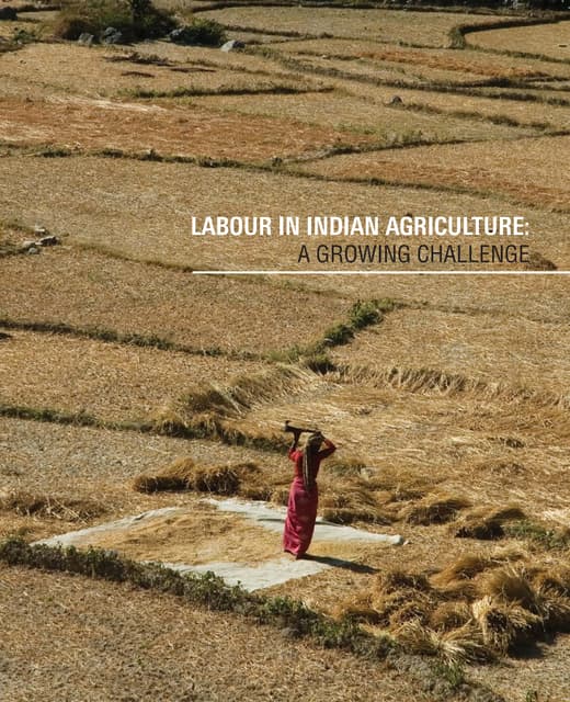 Labour in Indian Agriculture: A Gro...