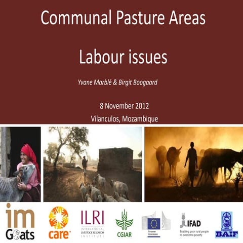 Communal pasture areas: Labour issues