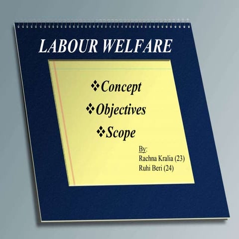 Labour welfare