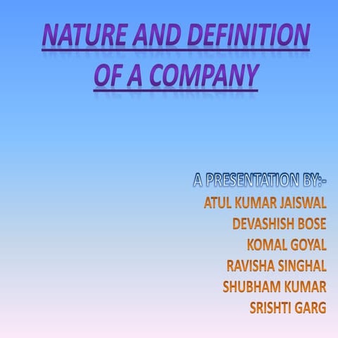nature and definition of a company