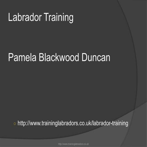 Understanding Labrador Behavior A Guide for Owners | PDF