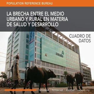 La brecha entre el medio urbano y  ...