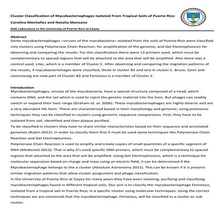 Lab report  mycobacteriophages