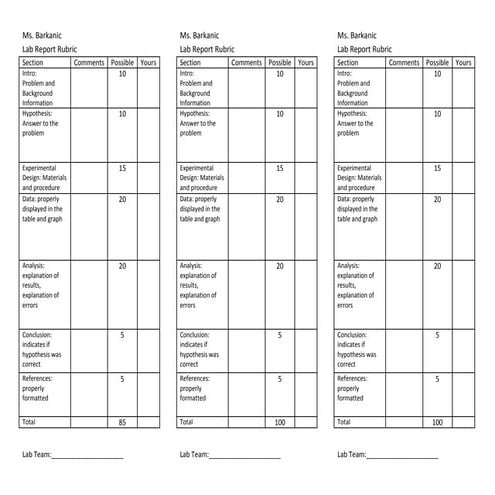 Lab report rubric | DOCX