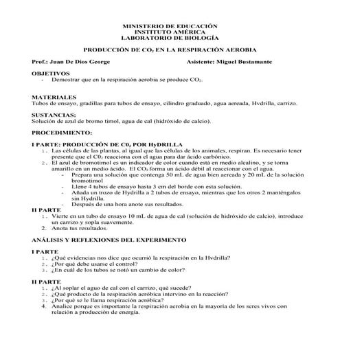 Lab respiración aerobia