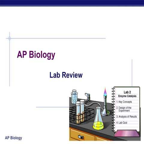 Lab review