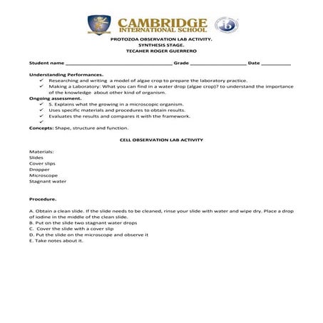 Lab seventh grade. protozoa roger.docx