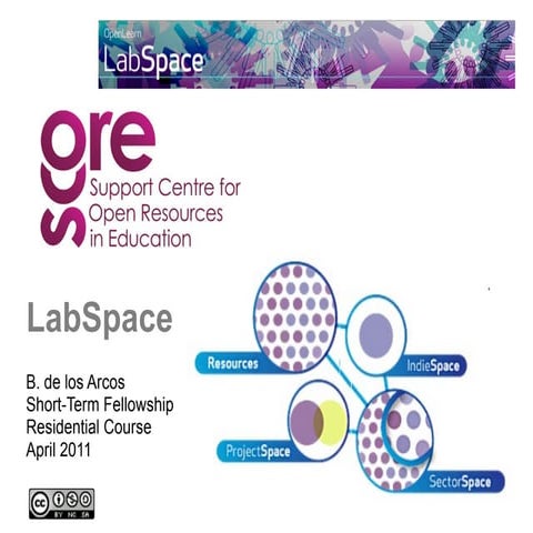 Lab space score short term fellows april   bea de los arcos