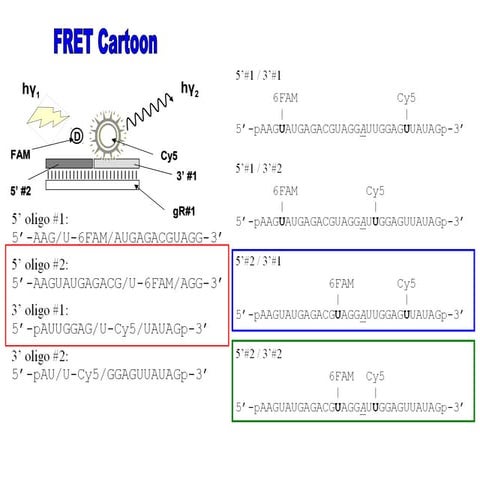Polymerase chain reaction (pcr) & its | PPTX