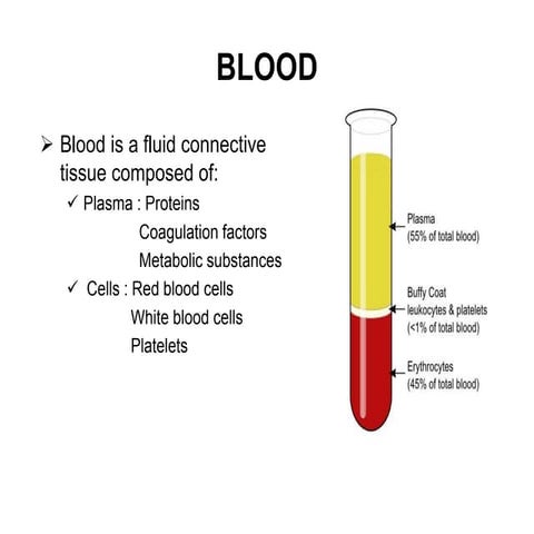 Lab tests in hematology.pptx