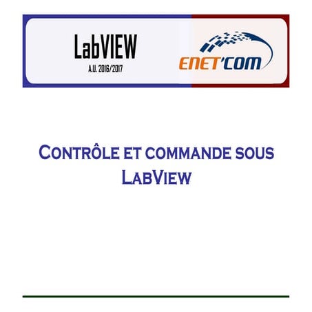 Labview pdf