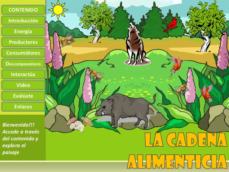 cadenas y redes alimenticias ppt la cadena alimenticia cadenas y redes alimenticias ppt la cadena alimenticia