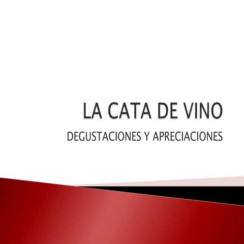 La cata de vino. nora graciela modolo