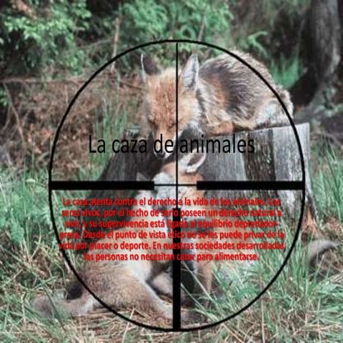 La Caza De Animales | PPT