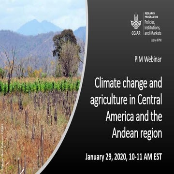 Climate change and agriculture in Central America and the Andean region