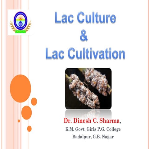 Lac culture and Cultivation