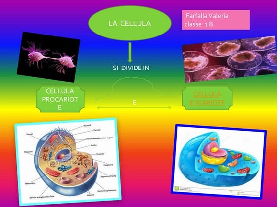 CELLULA I A | PDF