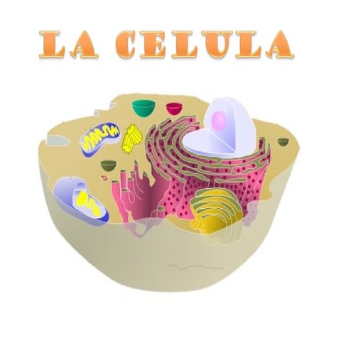 LA CELULA