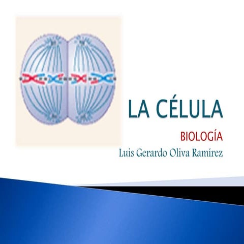 La celula 