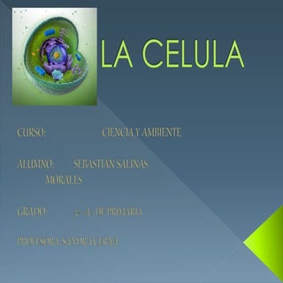 La celula2