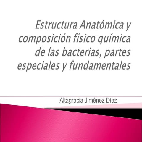 La celula bacteriana y sus partes