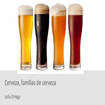 Lacerveza tipos modulo 2