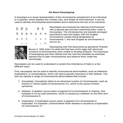 KARYOTYPING | PPTX