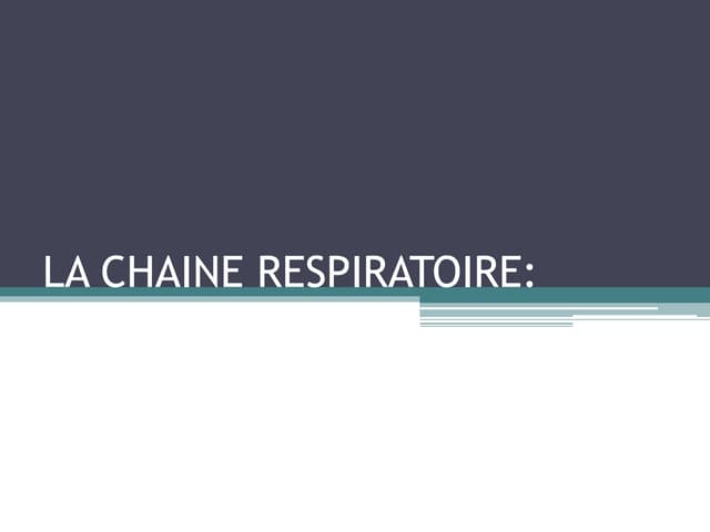 La Chaine Respiratoire