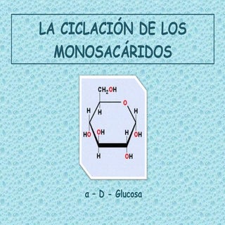 La ciclación de los monosacáridos 