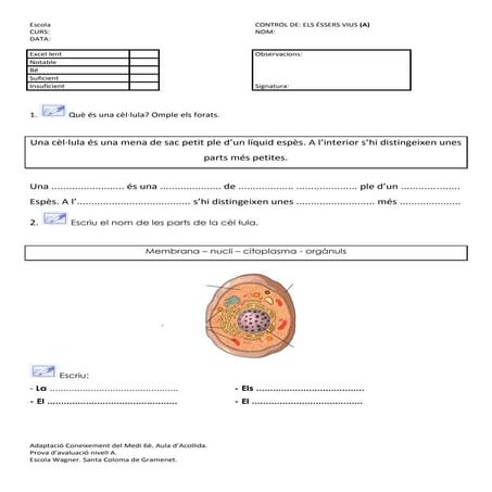 La cèl·lula. Avaluació 1.
