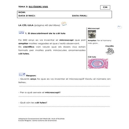 La cèl·lula adaptació