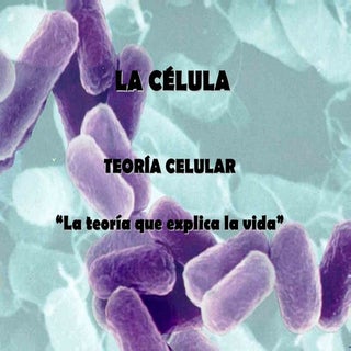 La célula
