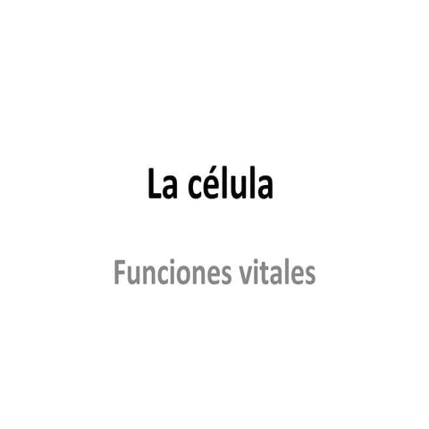 Funciones de la célula