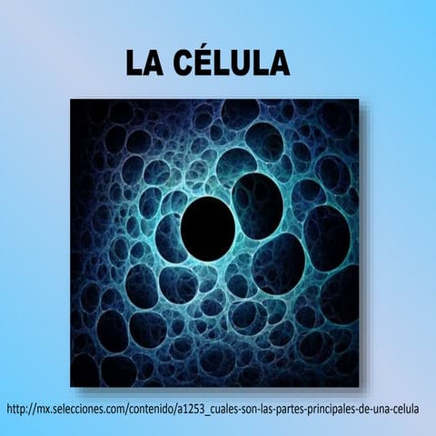La célula