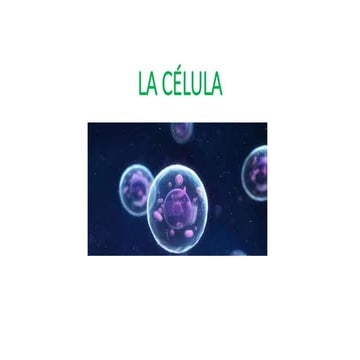Comprehensive Overview of Cell Structure, Types, and Organelles | PDF