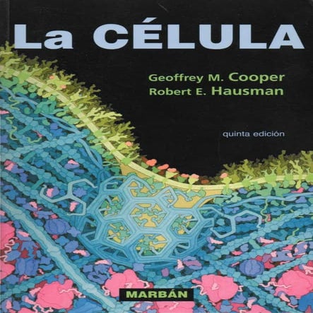 La célula   cooper