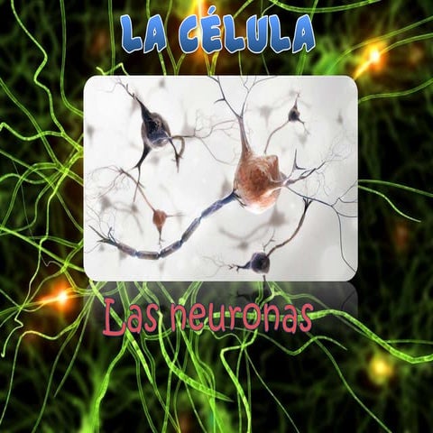 La célula nerviosa