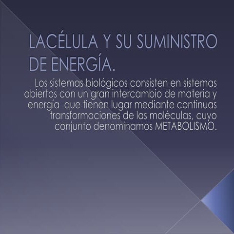 Lacélula y su suministro de energía